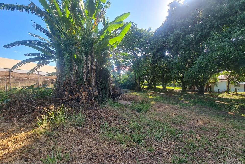 Agro - Alugar - Artur Nogueira , São Paulo - 20251120_160148.jpg - 690671009-93