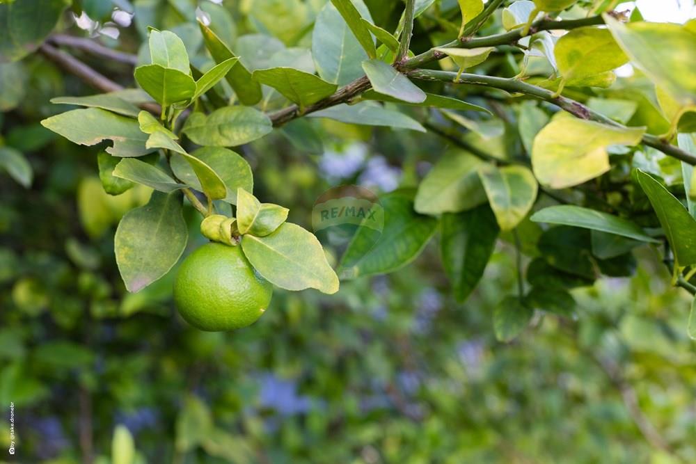 Casa de Condomínio - Venda - Itatiba , São Paulo - TKD-14349.jpg - 690661013-269