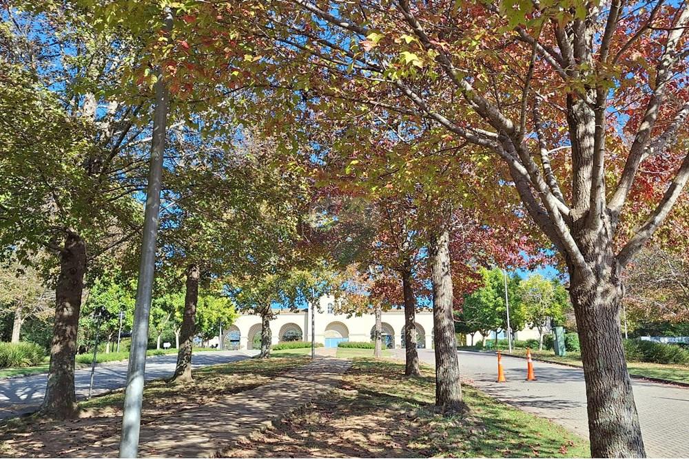 Casa de Condomínio - Alugar - Santana de Parnaíba , São Paulo - 2.20240803_092456.jpg - 691021016-56