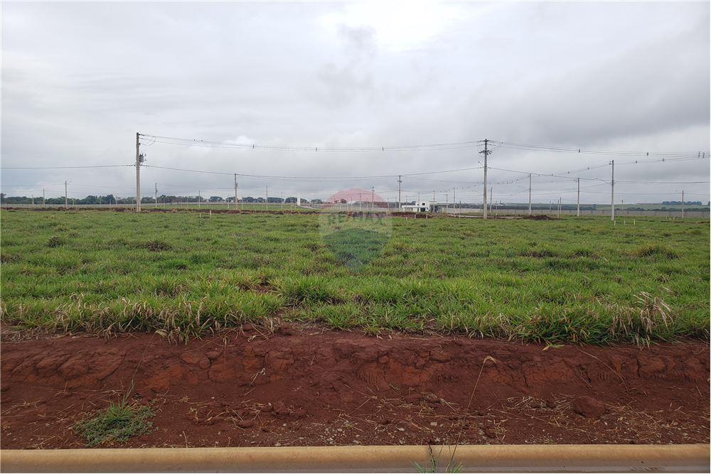 Terreno - Venda - Engenheiro Coelho , São Paulo - 9 - 690511357-65