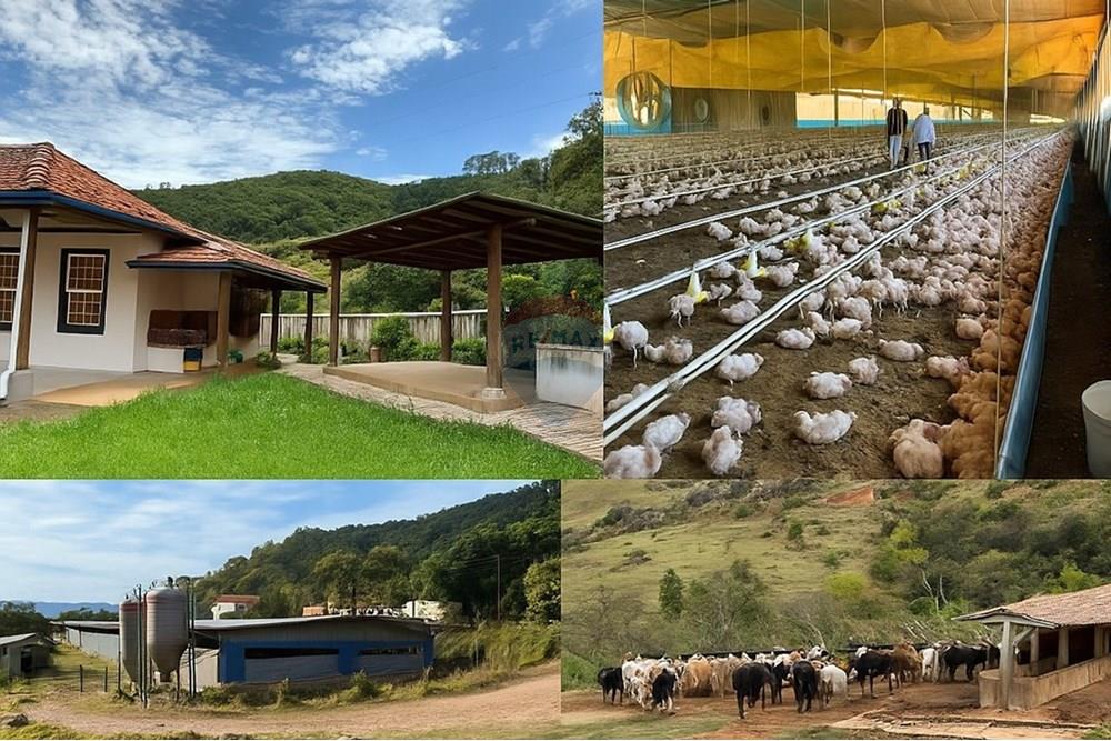 Chácara / Sítio / Fazenda - Venda - Bragança Paulista , São Paulo - FOTO CAPA GRANJA .jpg - 690141085-32