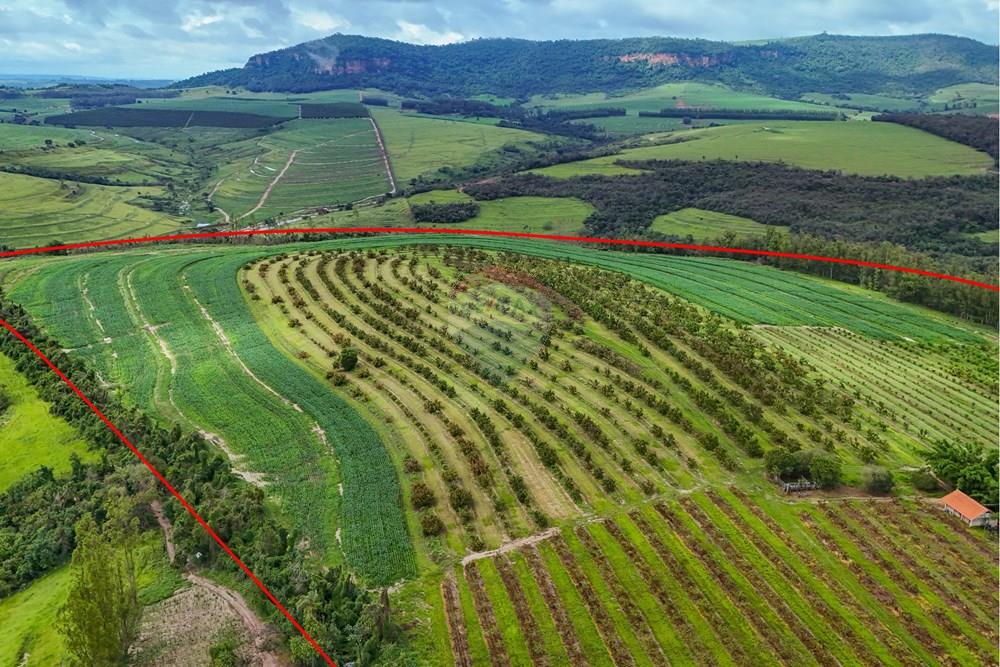 Fazenda - Venda - Analândia , São Paulo - Tratada - Drone-10.jpg - 690691016-305