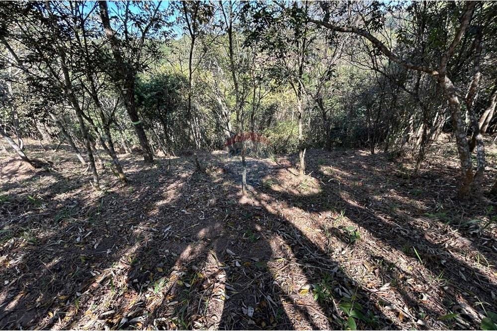 Terreno - Venda - Jarinu , São Paulo - IMG-20250819-WA0025.jpg - 690661027-137