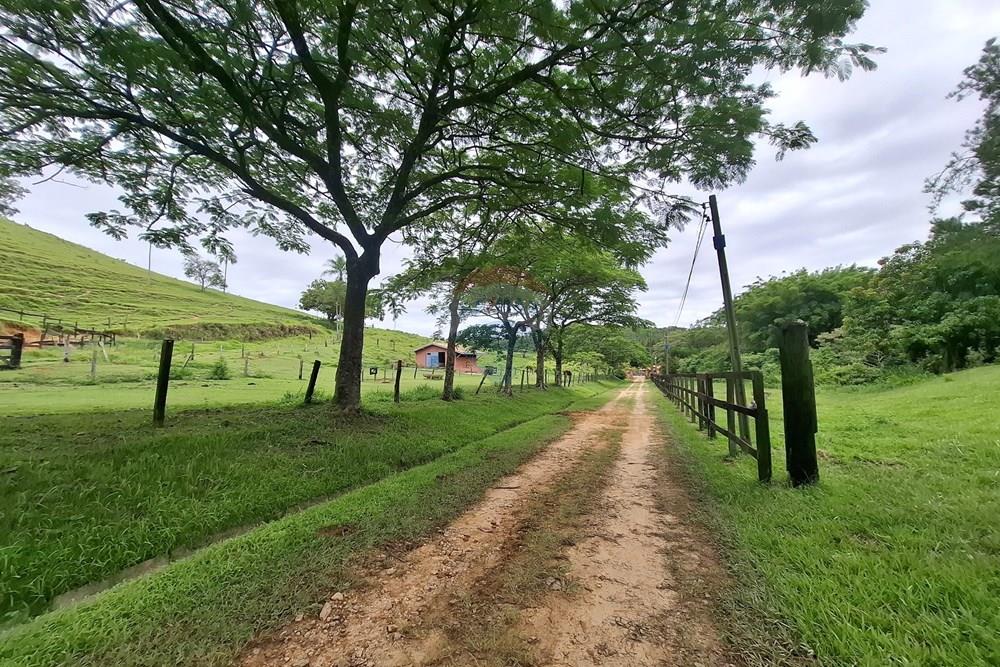 Chácara / Sítio / Fazenda - Venda - Amparo , São Paulo - 20260121_102900.jpg - 690681090-49