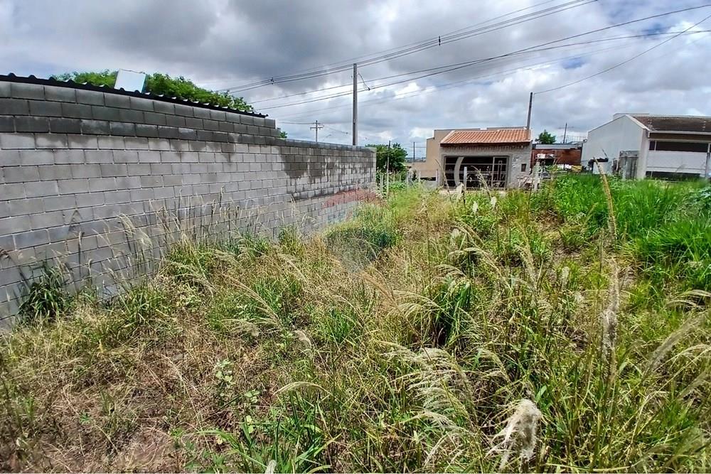 Terreno - Venda - Americana , São Paulo - 20260226_124508.jpg - 691071037-3