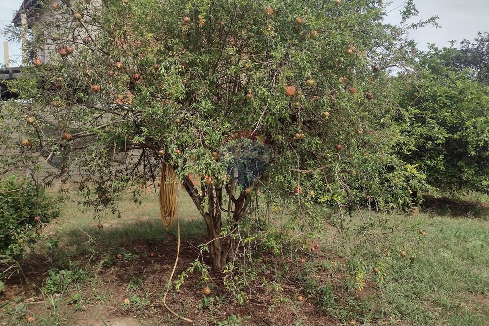 Terreno - Venda - Cosmópolis , São Paulo - 05.jpg - 690831004-213