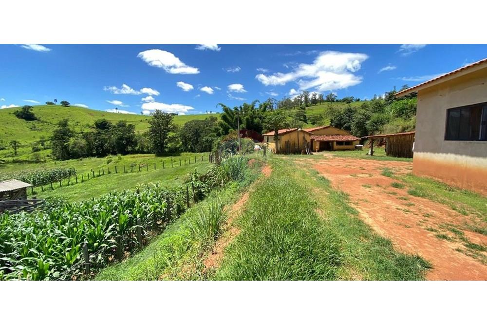 Chácara / Sítio / Fazenda - Venda - Lindóia , São Paulo - Quinta casa sede - 690291077-296