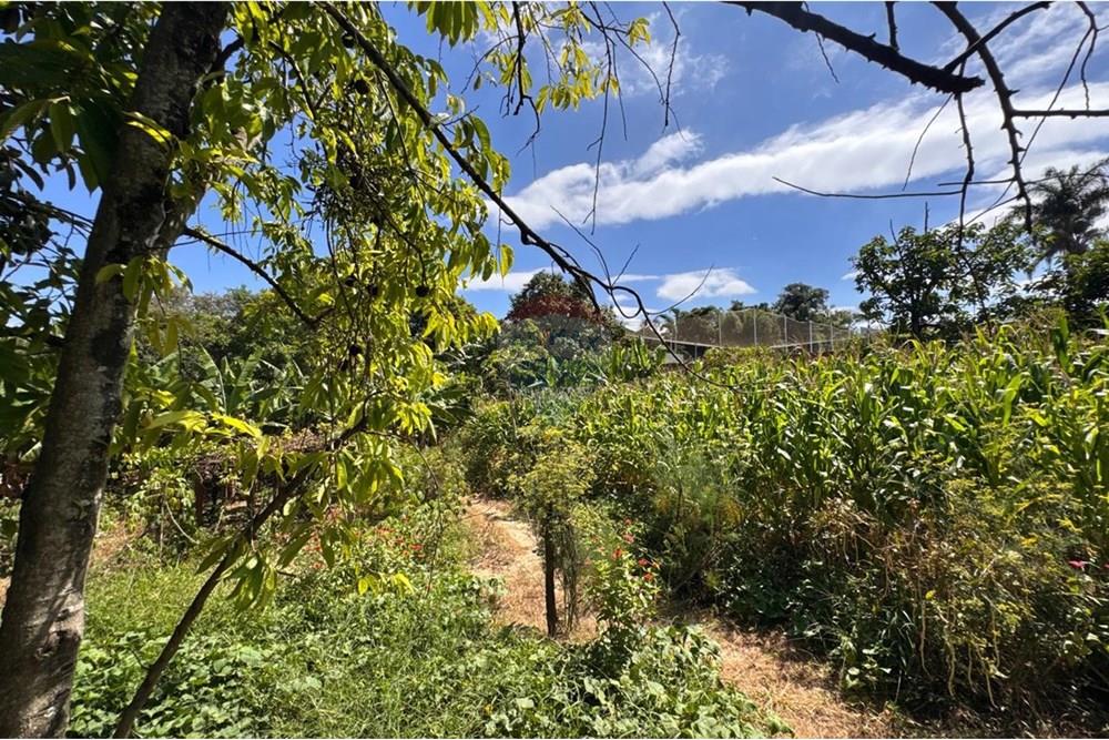 Chácara / Sítio / Fazenda - Venda - Capivari , São Paulo - foto 12.jpg - 690091006-483