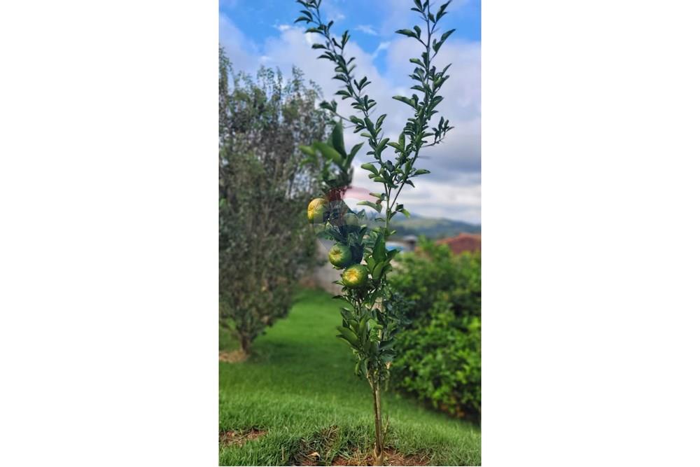 Chácara / Sítio / Fazenda - Venda - Itatiba , São Paulo - fc704cc4-3742-4506-8fc0-c08bad5ba91e.jpeg - 690661013-240