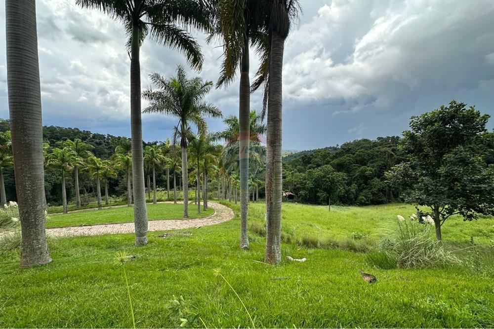 Chácara / Sítio / Fazenda - Venda - Morungaba , São Paulo - 3 (3).jpeg - 691131015-48