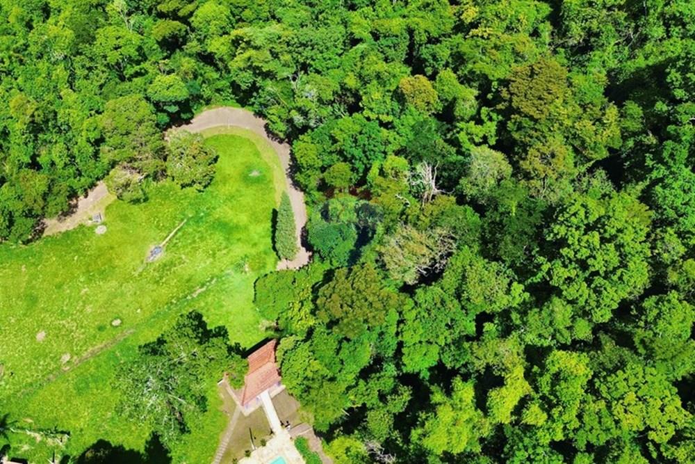 Chácara / Sítio / Fazenda - Venda - Jundiaí , São Paulo - dji_fly_20260108_205928_151_1767909888465_photo_optimized.jpg - 690051060-63