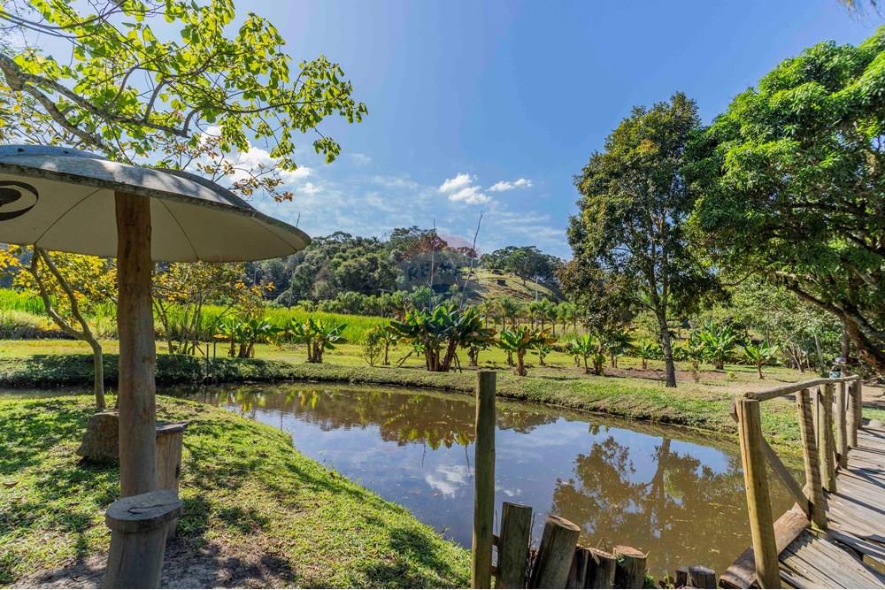 Chácara / Sítio / Fazenda - Venda - Itatiba , São Paulo - foto imobiliarias- brmaker00-369.jpg - 690661026-143