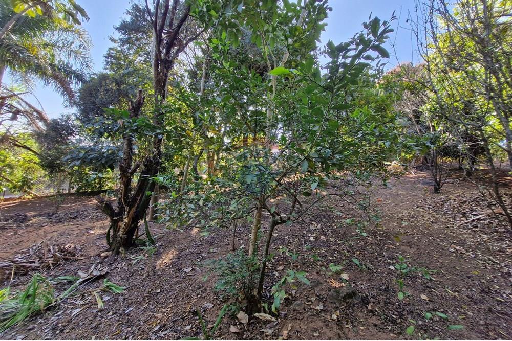 Residential - Land - Jaguariúna , Sao Paulo - BR - 20250814_151932.jpg - 690671008-326