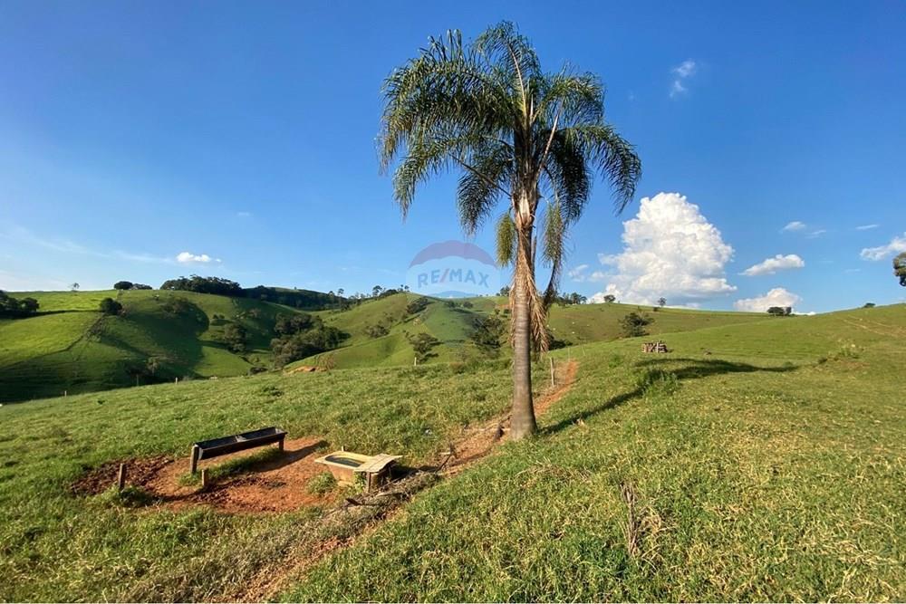 Chácara / Sítio / Fazenda - Venda - Socorro , São Paulo - WhatsApp Image 2026-03-04 at 13.32.25 (1).jpeg - 690041167-12
