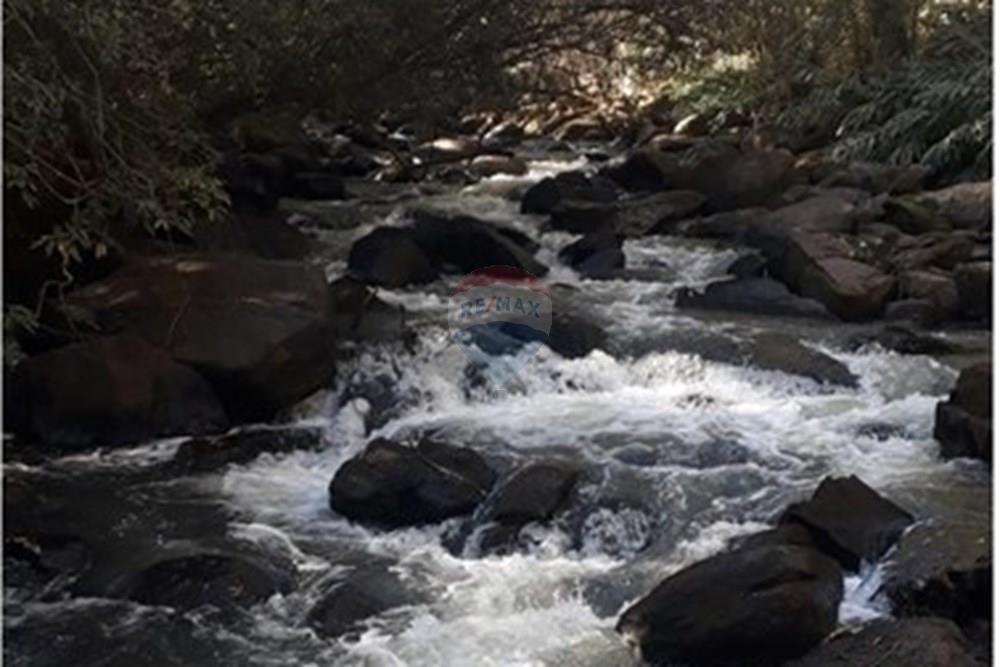 Chácara / Sítio / Fazenda - Venda - Socorro , São Paulo - ba4b0940-da7e-484a-88c5-7b6114516adf (1).jpeg - 690041146-19