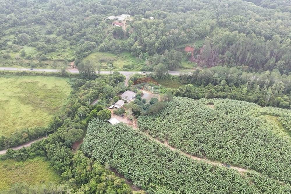 Fazenda - Venda - Jacupiranga , São Paulo - WhatsApp Image 2026-03-02 at 20.10.25.jpeg - 690061037-12