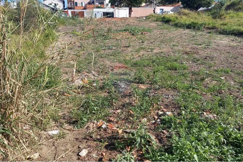 Terreno - Venda - Mogi Mirim , São Paulo - aeedae41-b082-43c0-b99f-cc8becc69a60.jpeg - 690751001-231