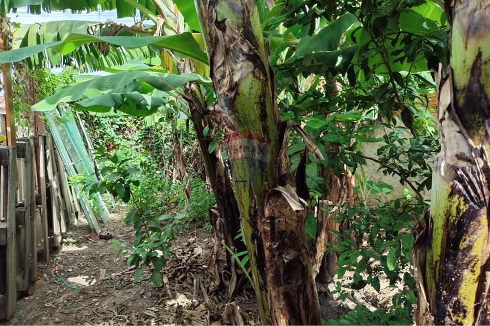 Terreno - Venda - Monte Mor , São Paulo - WhatsApp Image 2026-04-02 at 10.04.13 (3).jpeg - 690531126-34