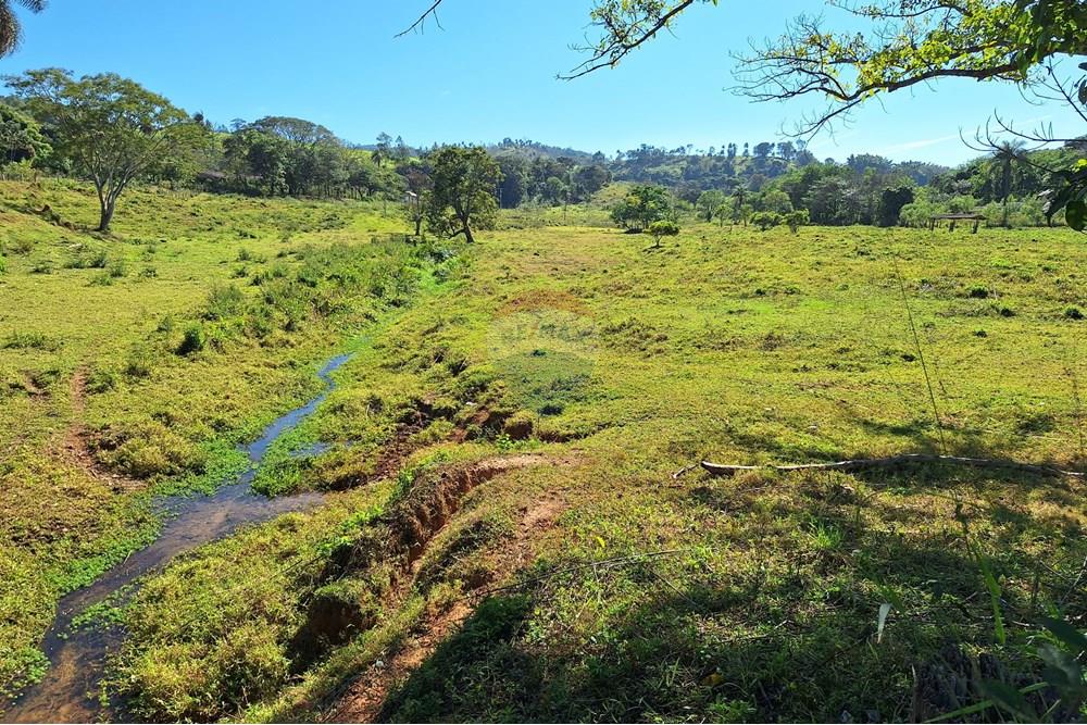 Chácara / Sítio / Fazenda - Venda - Itapira , São Paulo - 20250626_110645.jpg - 690751048-290