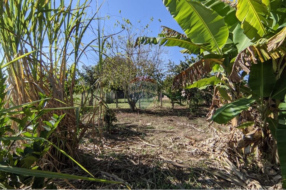 Terreno - Venda - Mogi Guaçu , São Paulo - 13.jpeg - 690521018-187