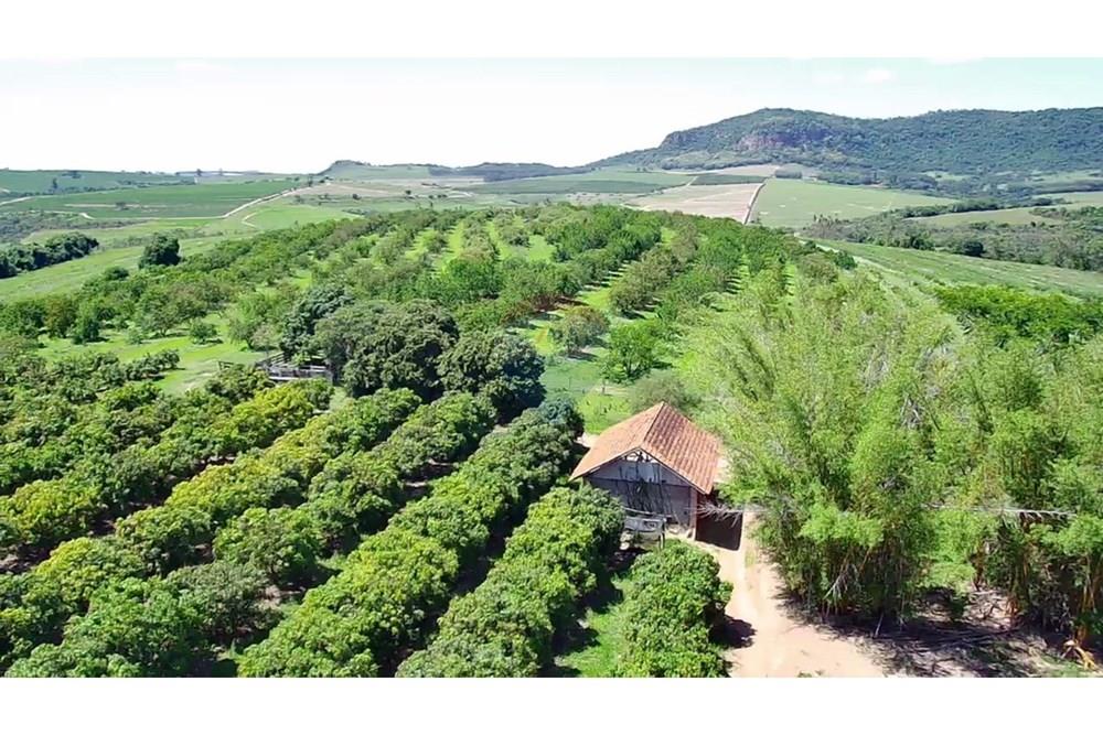 Fazenda - Venda - Analândia , São Paulo - 4af2e66a-5b46-4fe6-873a-c82be864aa73.jpg - 690691016-305