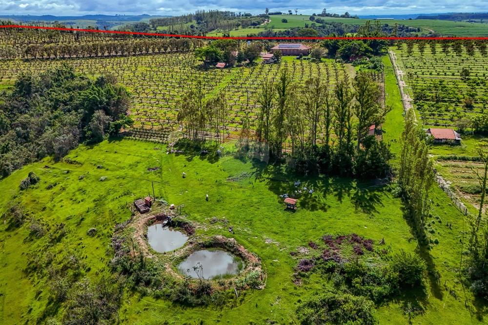 Fazenda - Venda - Analândia , São Paulo - Tratada - Drone-81.jpg - 690691016-305