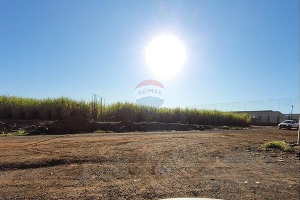 Terreno - Venda - Rio das Pedras , São Paulo - 20250625_155144.jpg - 690781159-3