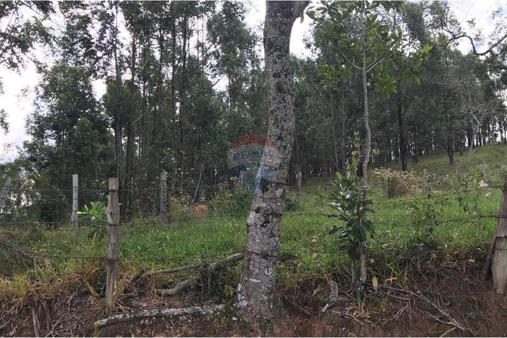 Chácara / Sítio / Fazenda - Venda - Socorro , São Paulo - IMG-20250520-WA0040.jpg - 690291056-39