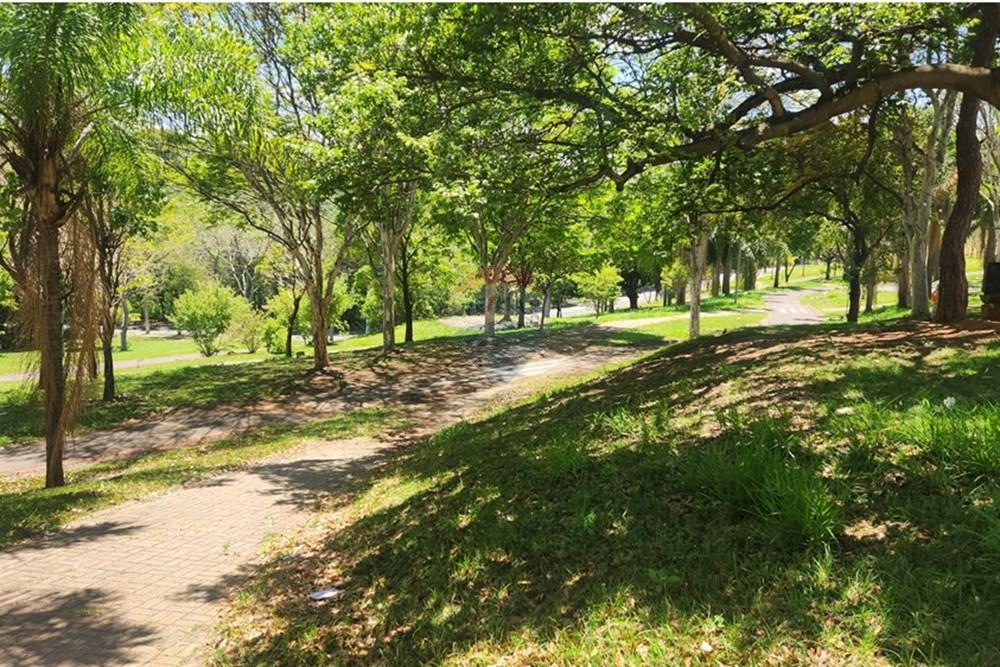 Apartamento - Alugar - Campinas , São Paulo - 1000234237.jpg - 690491079-5