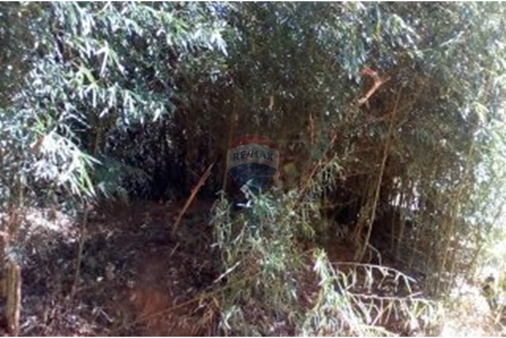 Terreno - Venda - Atibaia , São Paulo - Terreno 720m² Rua São Paulo - Portão Atibaia 2.jpg - 690921134-4