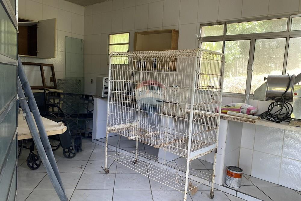 Fazenda - Venda - Pariquera-Açu , São Paulo - IMG_6150.jpg - 690061038-24