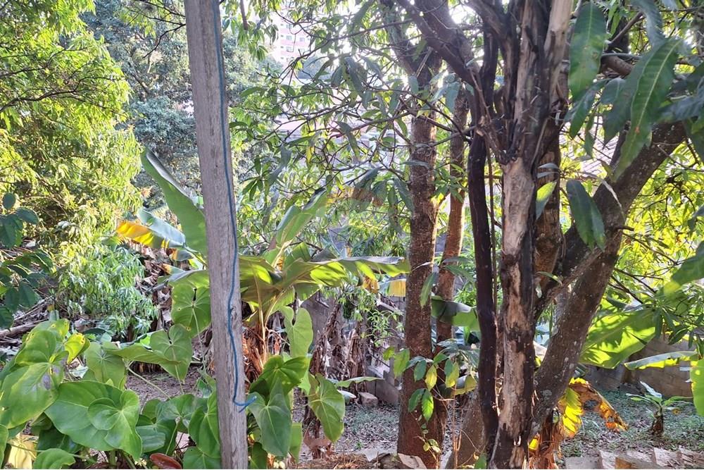 Casa - Venda - Itatiba , São Paulo - Imagem do WhatsApp de 2025-07-24 à(s) 17.22.53_399de134.jpg - 690661002-103