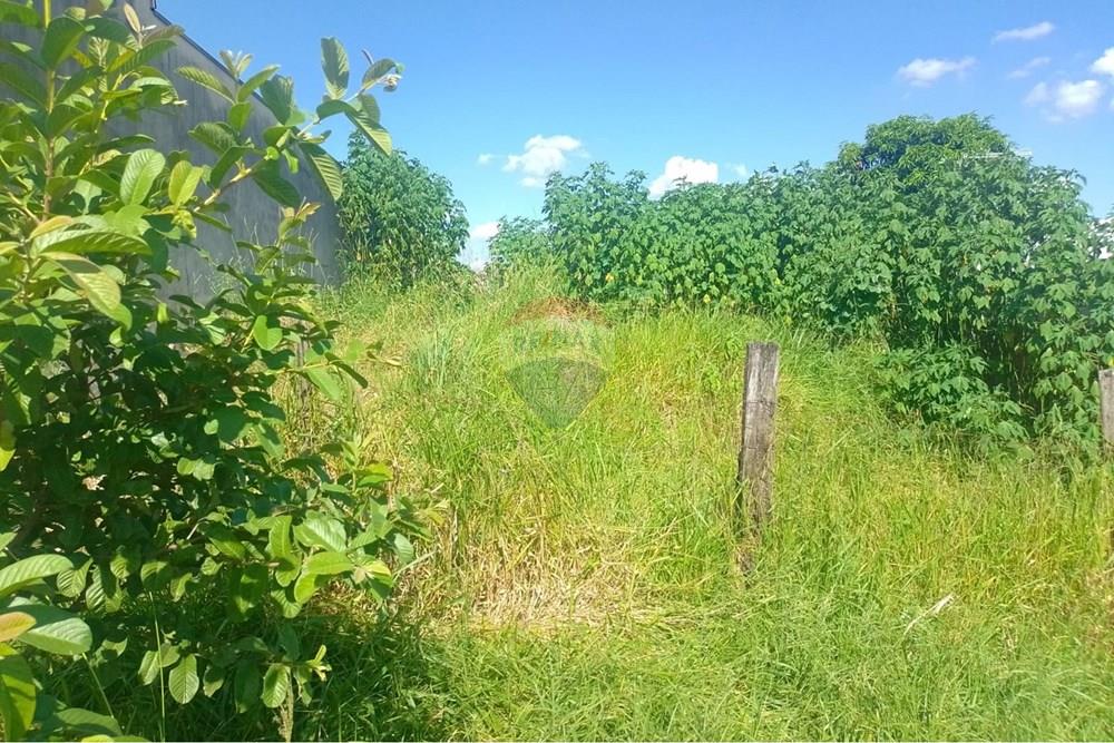 Terreno - Venda - Mogi Mirim , São Paulo - WhatsApp Image 2026-03-04 at 23.28.51.jpeg - Fachada - 690751108-20