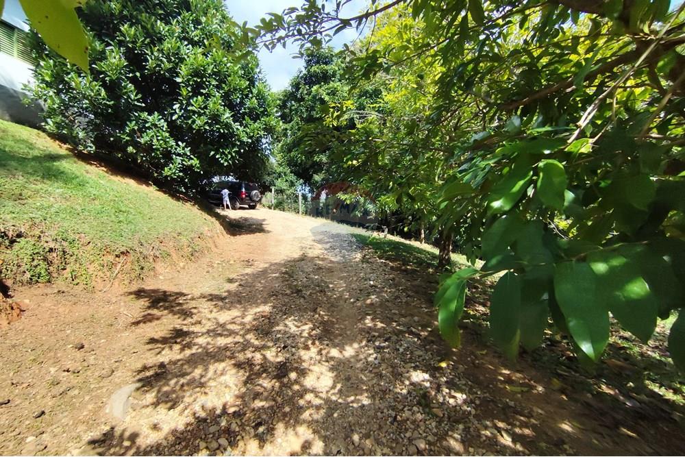 Chácara / Sítio / Fazenda - Venda - Itapira , São Paulo - 1751510168882.jpg - 690291085-364