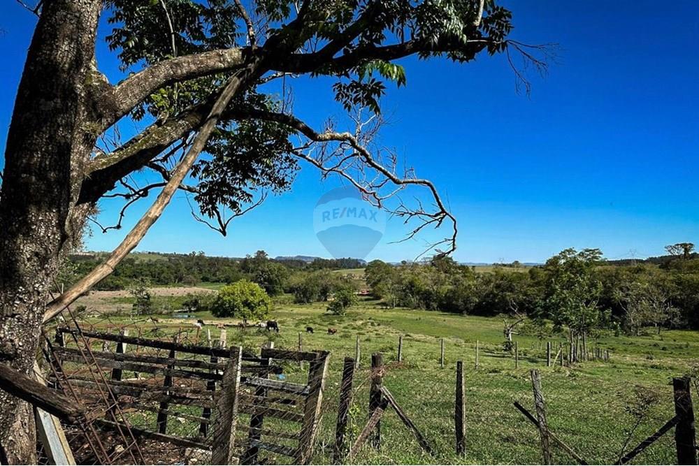 Agro - Venda - Rio Claro , São Paulo - WW.jpeg - 690901035-38