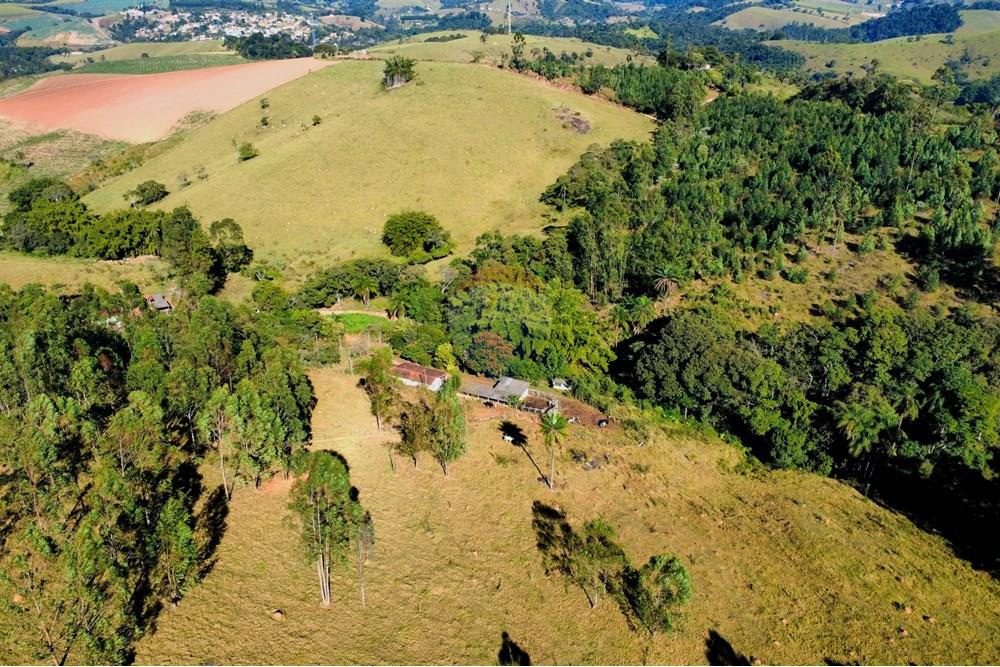 Chácara / Sítio / Fazenda - Venda - Socorro , São Paulo - dji_fly_20250617_095200_221_1750164729917_photo_optimized.jpg - 690291056-39