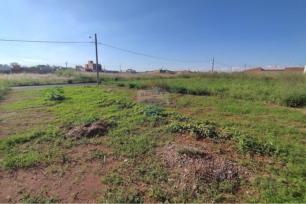 Terreno - Venda - Mogi Guaçu , São Paulo - IMG_20250430_153422.jpg - 690521005-80