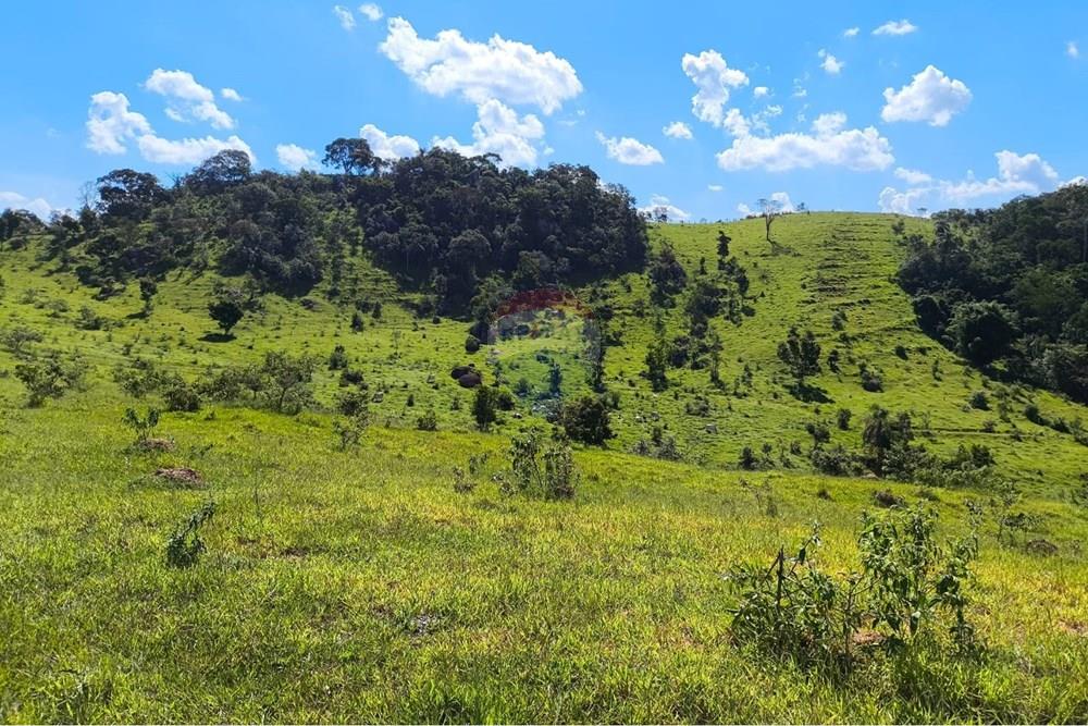 Chácara / Sítio / Fazenda - Venda - Morungaba , São Paulo - WhatsApp Image 2026-03-05 at 17.26.22 (2).jpeg - 691131002-3