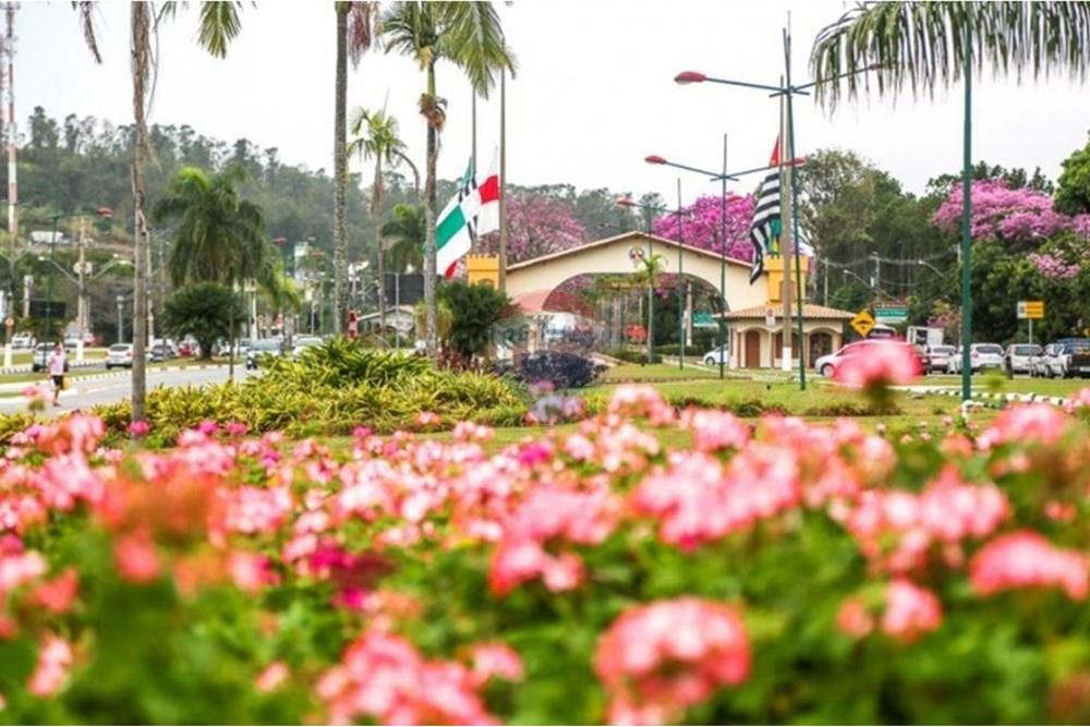 Outros - Alugar - Vinhedo , São Paulo - portal com flores.jpg - 690851011-458