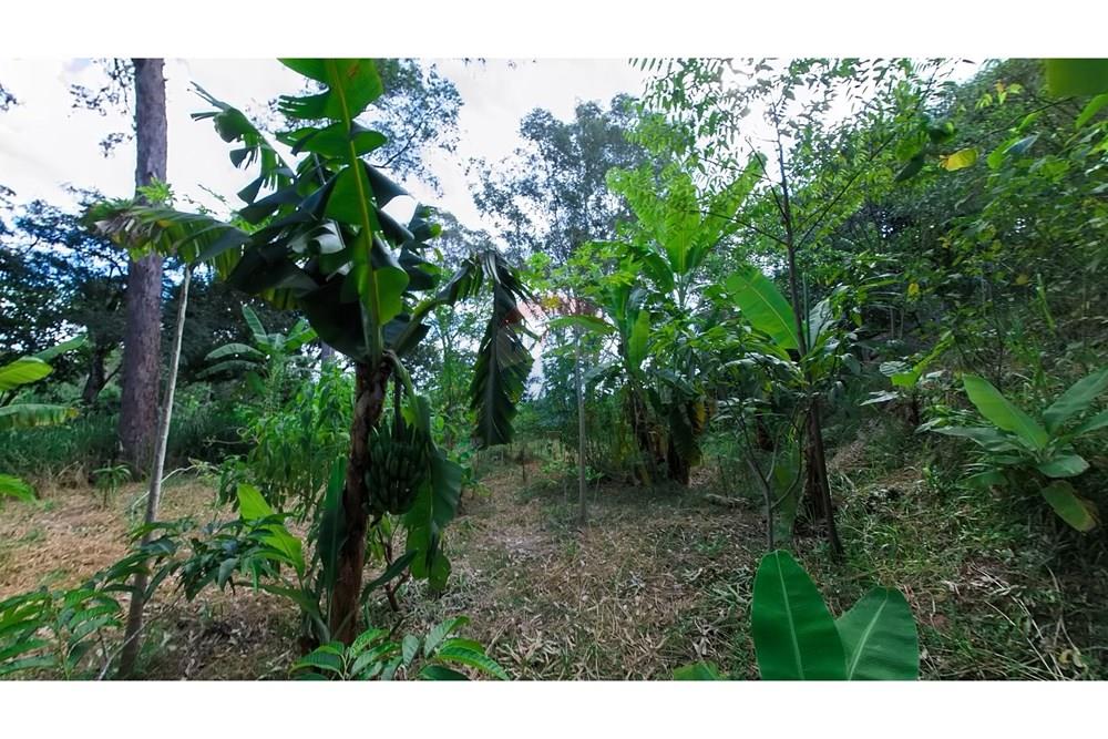 Chácara / Sítio / Fazenda - Venda - Araras , São Paulo - IMG_20250115_155516_00_370_PureShot.jpg - 690691016-236