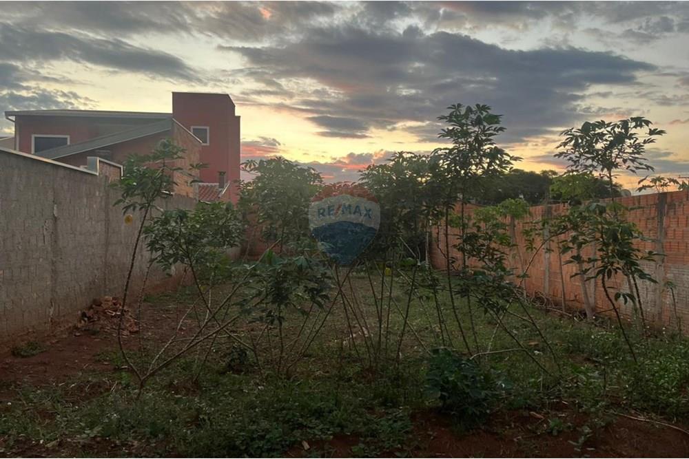 Terreno - Venda - Araraquara , São Paulo - WhatsApp Image 2025-11-04 at 15.44.24 (4).jpeg - 690151080-9