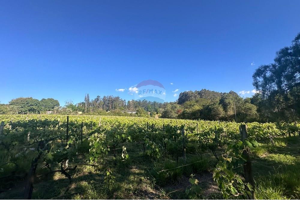 Chácara / Sítio / Fazenda - Venda - Jundiaí , São Paulo - WhatsApp Image 2025-10-23 at 13.29.01 (2).jpeg - 690801041-183