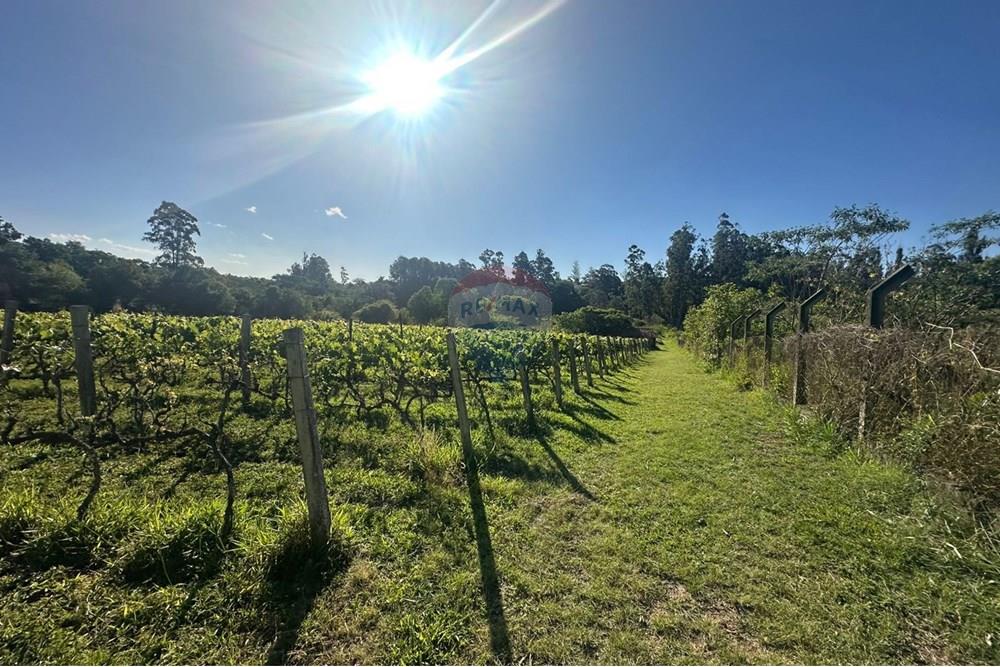 Chácara / Sítio / Fazenda - Venda - Jundiaí , São Paulo - WhatsApp Image 2025-10-23 at 13.29.02 (3).jpeg - 690801041-183