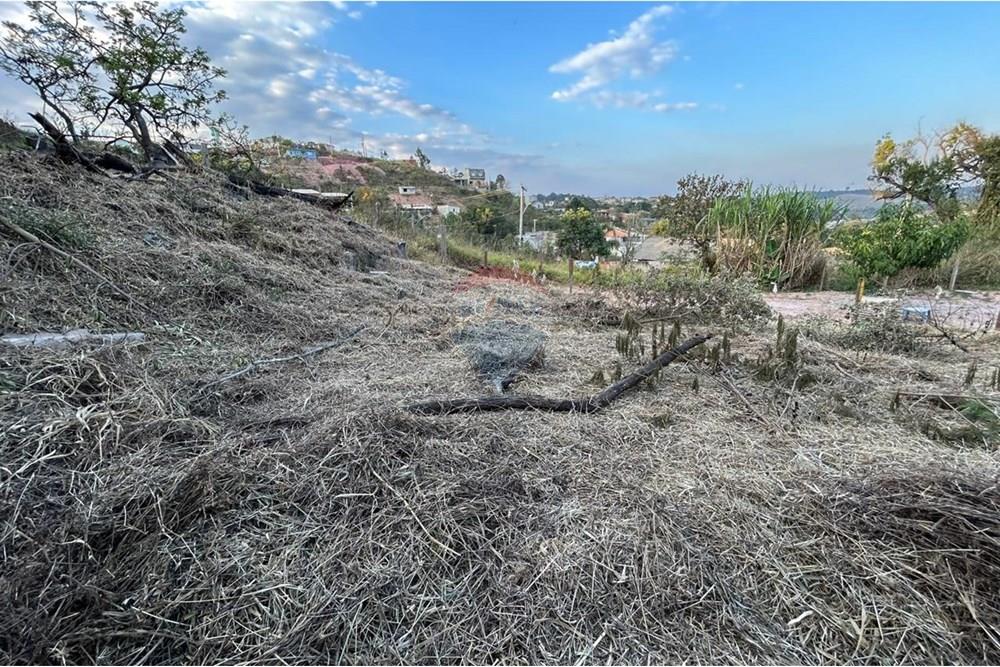 Terreno - Venda - Jarinu , São Paulo - WhatsApp Image 2025-07-16 at 21.41.00 (6).jpeg - 690661027-124