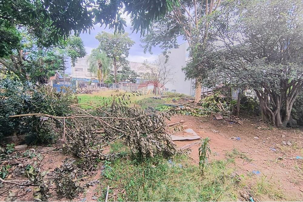 Terreno - Alugar - Campinas , São Paulo - WhatsApp Image 2025-06-30 at 16.56.56.jpeg - 690681149-54