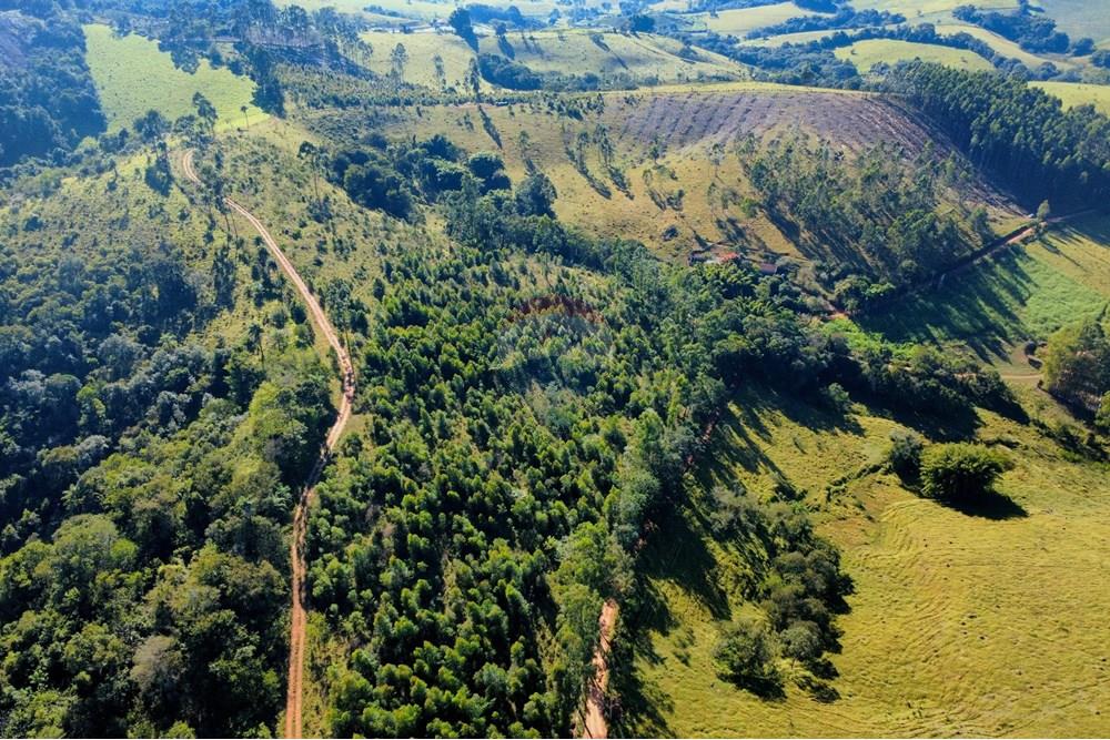 Chácara / Sítio / Fazenda - Venda - Socorro , São Paulo - dji_fly_20250617_094128_201_1750164095587_photo_optimized.jpg - 690291056-39