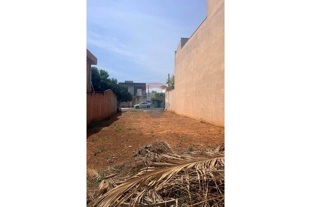 Terreno - Venda - Limeira , São Paulo - IMG_3032.JPG - 690741007-105