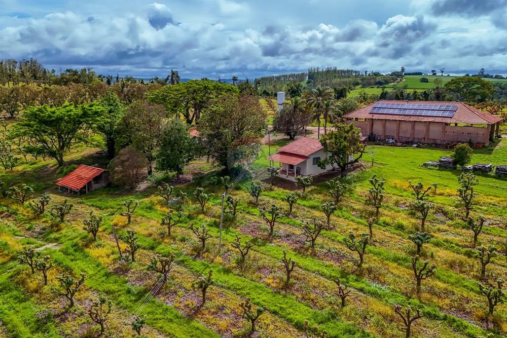 Fazenda - Venda - Analândia , São Paulo - Tratada - Drone-54.jpg - 690691016-305