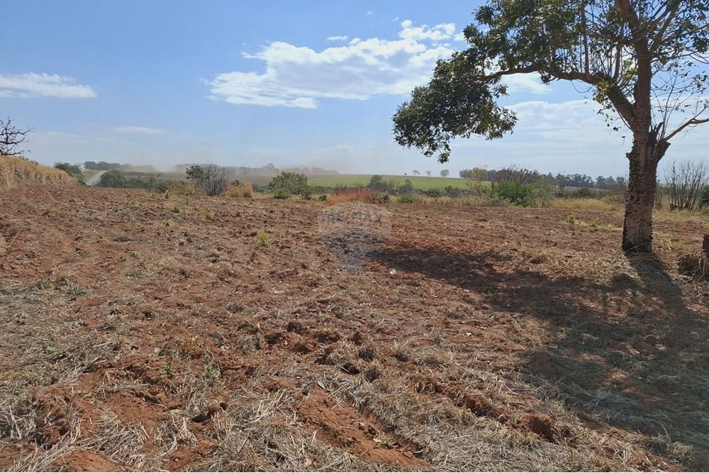 Terreno - Venda - Mogi Mirim , São Paulo - 20250808_120213.jpg - 690681090-43