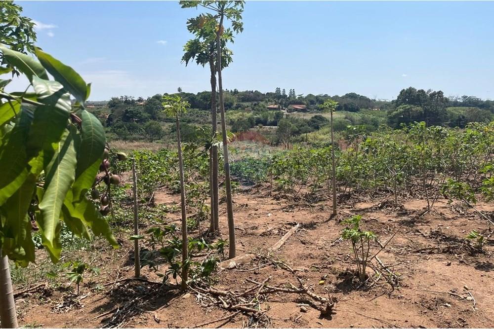 Chácara / Sítio / Fazenda - Venda - Valinhos , São Paulo - WhatsApp Image 2025-10-27 at 09.33.48 (8).jpeg - 691181010-8